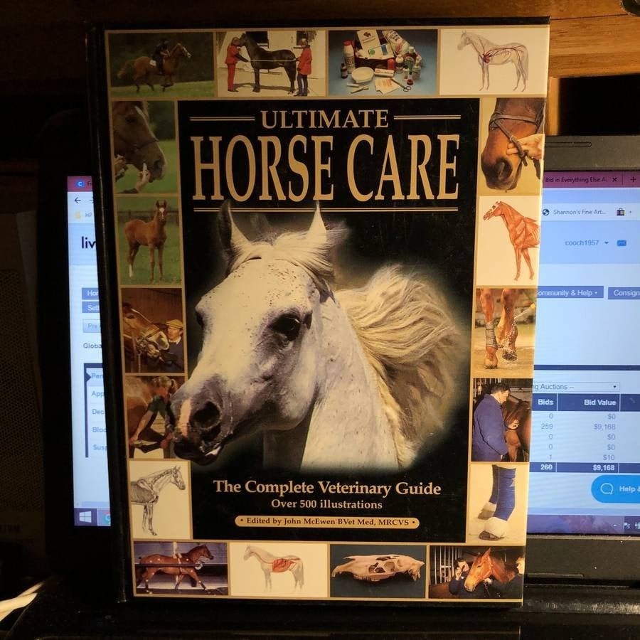 Ultimate Horse Care Hardcover by John McEwen in VG Cond (1 of 3)