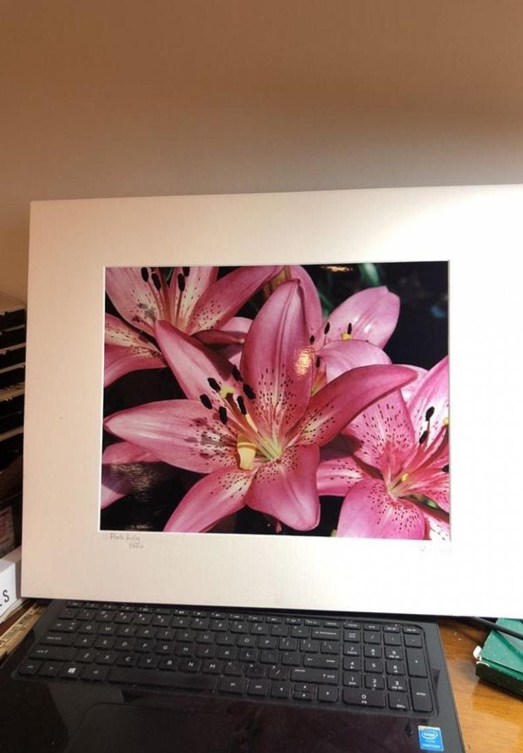 Pink Lilly By J. Fox Signed & Numbered #1/200 Date 2004: Pink Lilly By J. Fox Signed & Numbered #1/200 Dated 2004 Unframed but Matted as Pictured (Total Size 16” x 20”). No Reserve Bid & No Buyers Premium. Domestic Shipping $15.00