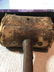 Antique Primitive Wood Mallet Hammer Vtg Woodworking... - 6