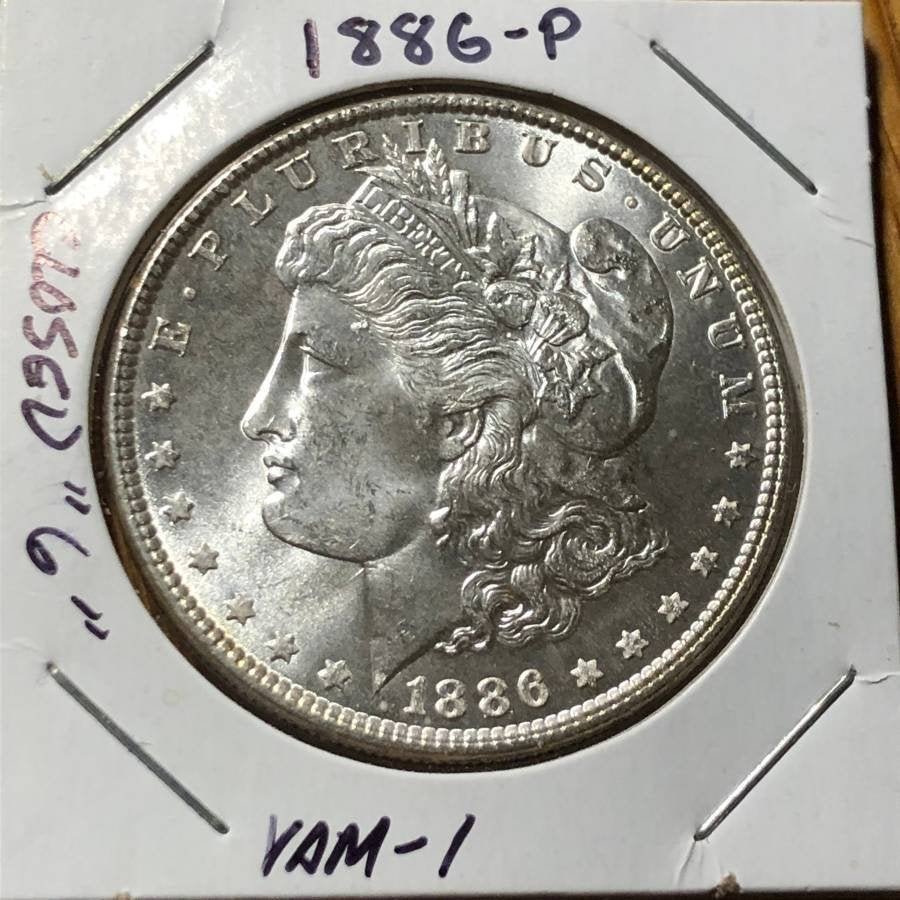 1886-P CHOICE BU VAM-1 CLOSED-6 VARIETY MORGAN SILVER.. (1 of 2)