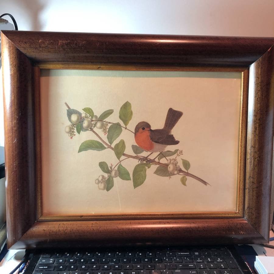 The Raschella Collection Robin E Print 15 X 19 0003 On Oct 08 1957 Estate Bargains In Nj The Raschella Collection Robin E Print 15 X 19 0003 On Oct 08 1957 Estate Bargains In Nj