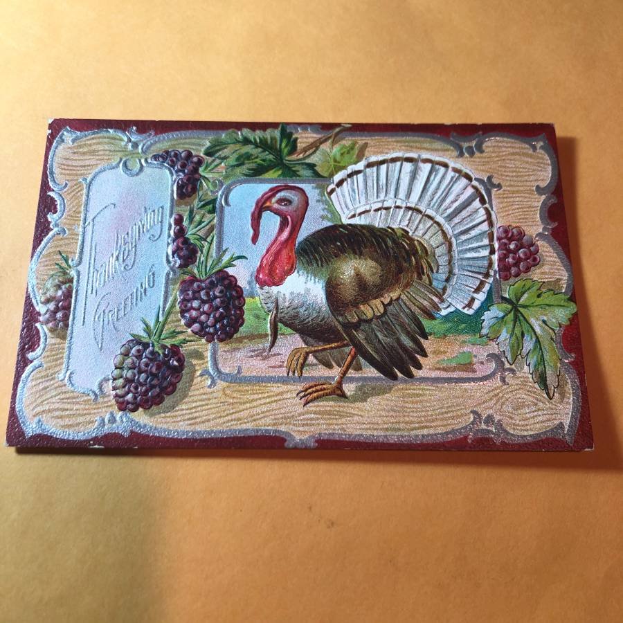 Early 1900's Thanksgiving Greetings Postcard #24... (1 of 2)