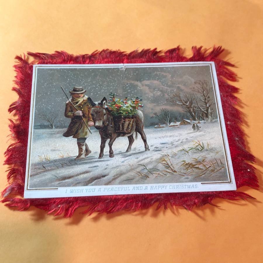Early 1900's Fringed Victorian Era Card #245 as Pic'd (1 of 2)