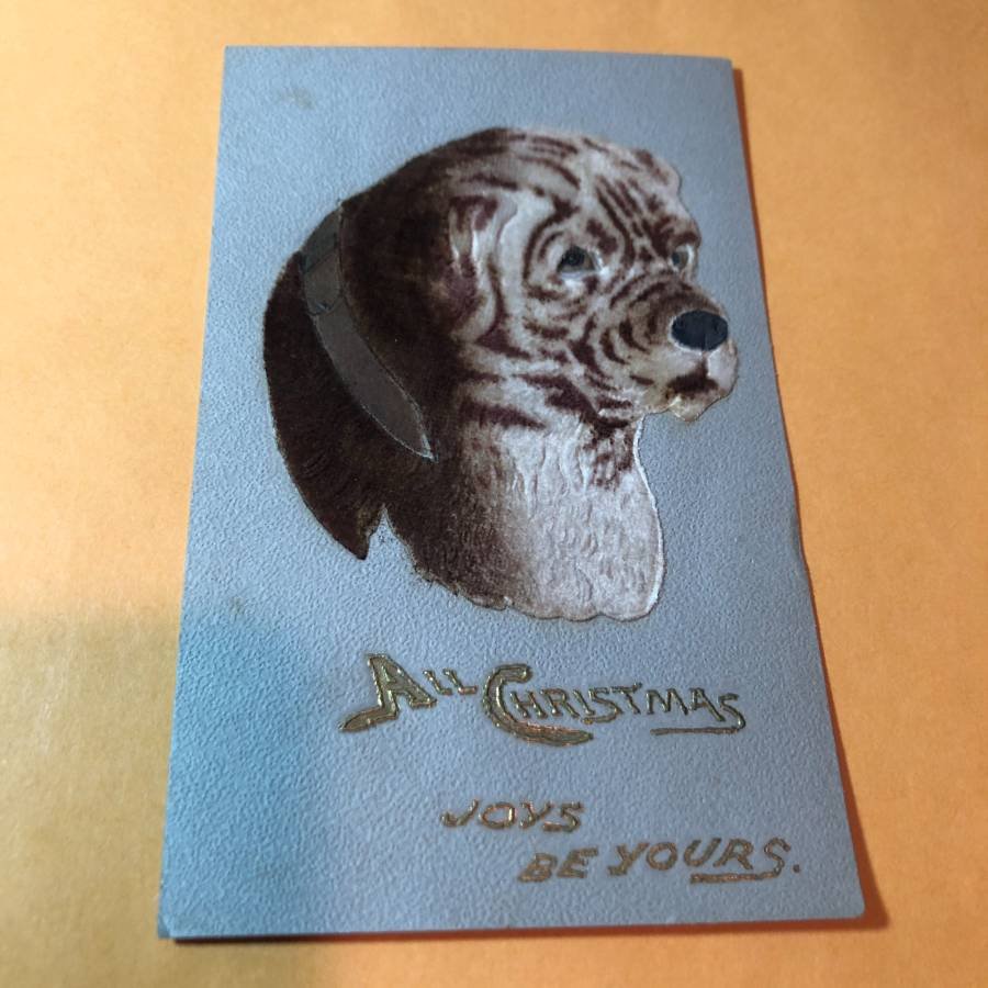 Early 1900's Felt Dog Postcard #297 as Pictured. (1 of 2)