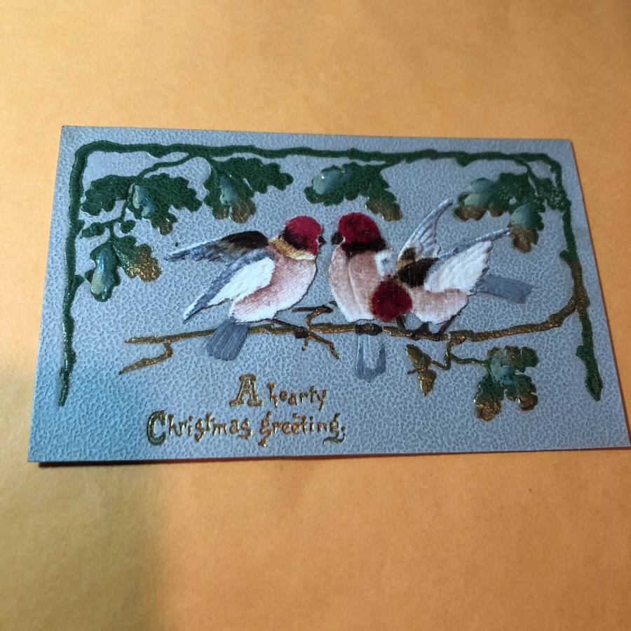 Early 1900's Felt Birds Postcard #298 as Pictured... (1 of 2)