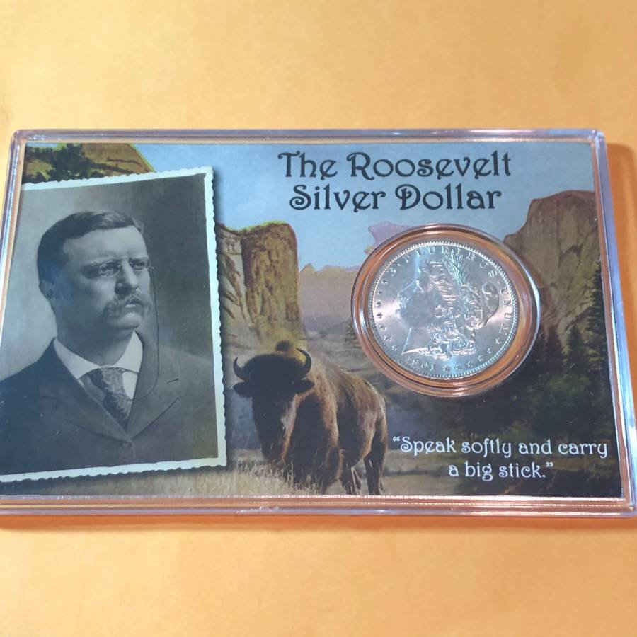 (ROOSEVELT SILVER DOLLAR) 1901-O UNCIRCULATED CONDITION (1 of 4)
