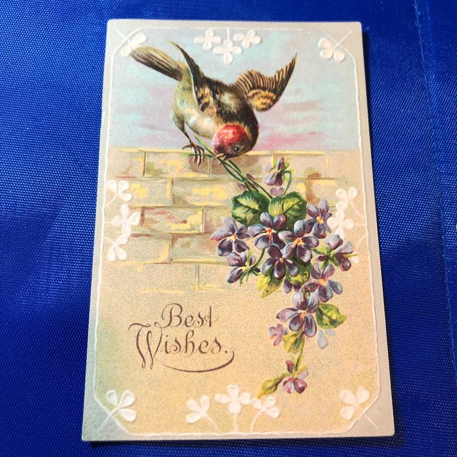 Early 1900's Embossed Birthday Postcard #409 as Pic'd (1 of 2)