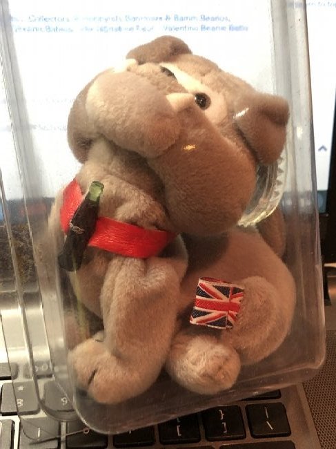 Coca Cola Beanie Baby Plush Bull Dog in a Holder as Pic: Coca Cola Beanie Baby Plush Bull Dog in a Holder as Pictured. FREE DOMESTIC SHIPPING!