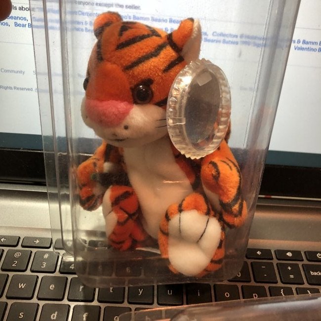 Coca Cola Beanie Baby Plush Tiger in a Holder as Pic: Coca Cola Beanie Baby Plush Tiger in a Holder as Pictured. FREE DOMESTIC SHIPPING!