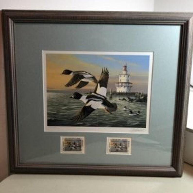 1996 New Jersey Duck Stamp Print W/2 Mint Stamps... (1 of 4)