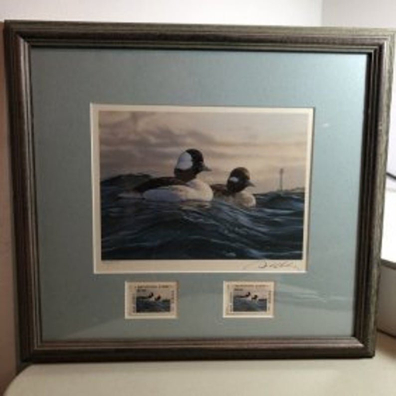 1993 New Jersey Duck Stamp Print W/2 Mint Stamps... (1 of 4)