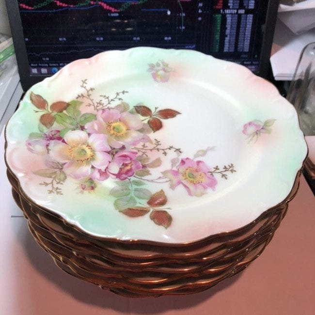 8-Vintage Schumann Arzberg Bavarian Germany Wild Rose..: 8-Vintage Schumann Arzberg Bavarian Germany Wild Rose Blush Set/8 big 10" Diner Plates in VG Preowned Condition. $25.00 Domestic Shipping.