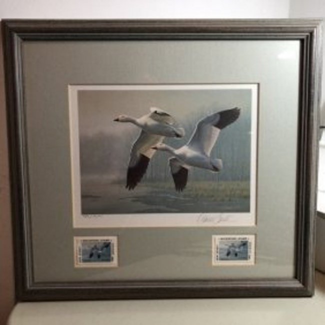 1989 New Jersey Duck Stamp Print W/2 Mint Stamps Artist (1 of 4)