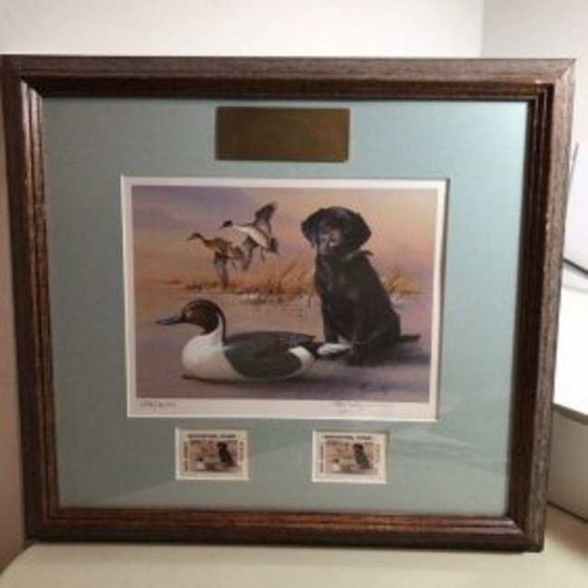 2001 New Jersey Duck Stamp Print W/2 Mint Stamps Artist: 2001 New Jersey Duck Stamp Print W/2 Mint Stamps Artist Robert Hautman Frame Size 14.5" x 16" in VG Condition. Free Local Pickup or UPS Store Shipping Paid for by the Winning Bidder.