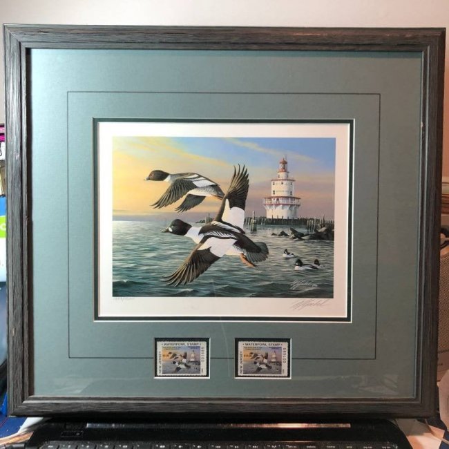 Wilhelm Goebel 1996 New Jersey Signed 1,689/10,011 Duck (1 of 7)