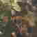 item-108882561=3
