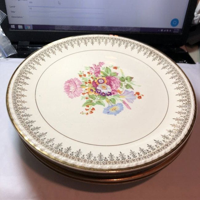 8 Vintage Taylor Smith & Taylor LaMode China Co 22Kg...: 8 Vintage Taylor Smith & Taylor LaMode China Co 22Kg 9.25" Diameter Plates in Good Preowned Condition c1930's. $20.00 Domestic Shipping.