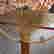 item-110678369=6