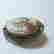 item-111983172=2