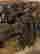 item-114795084=3