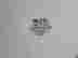 item-115279557=3