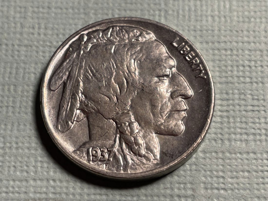 1937-P BUFFALO NICKEL FROM A DANSCO ALBUM SET...: 1937-P BUFFALO NICKEL FROM A DANSCO ALBUM SET. FREE DOMESTIC SHIPPING.