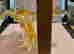 item-123028031=6