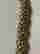 item-130898154=5
