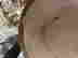 item-130898665=8