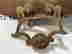 item-130967735=3