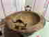 item-130967735=7