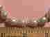 item-130978509=6