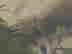 item-131064405=6