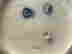 item-131067116=6