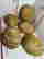 item-131304670=2