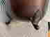item-131306668=6