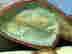 item-131323184=5