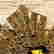 item-131354115=5