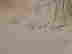 item-131376293=4