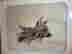 item-131407497=2
