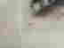 item-131407497=4