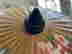 item-131580816=2