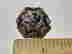 item-131933550=2