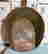 item-133479037=2