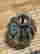 item-134081086=6