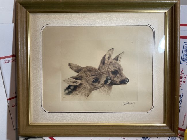 Vtg Kurt Meyer-Eberhardt (1895-1977) Fawn Deer Etching Faithful Friends 16" x 19" (1 of 6)