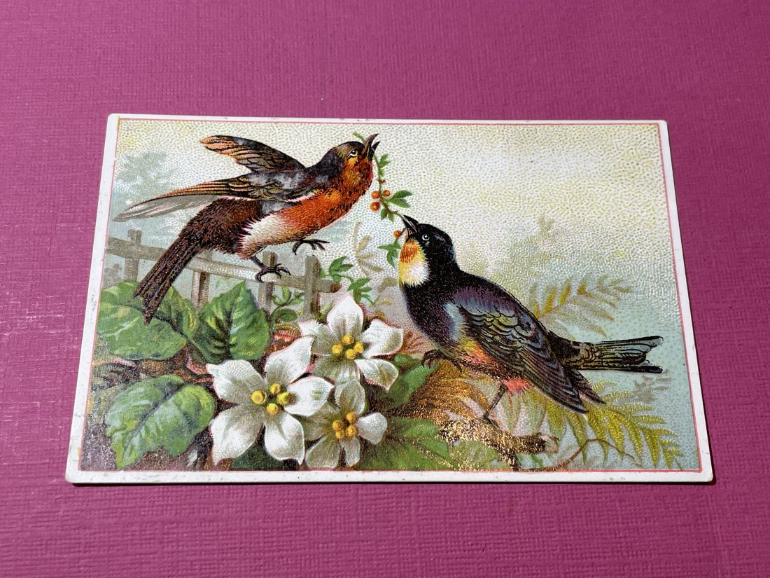 VICTORIAN TRADE CARD #336.: VICTORIAN TRADE CARD #336. (ONLY ONE SHIPPING FEE OF $5 ON TRADE CARDS, WHETHER YOU WIN 1 CARD OR 100 CARDS)