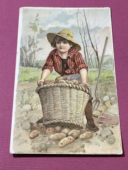 VICTORIAN TRADE CARD #358.: VICTORIAN TRADE CARD #358. (ONLY ONE SHIPPING FEE OF $5 ON TRADE CARDS, WHETHER YOU WIN 1 CARD OR 100 CARDS)