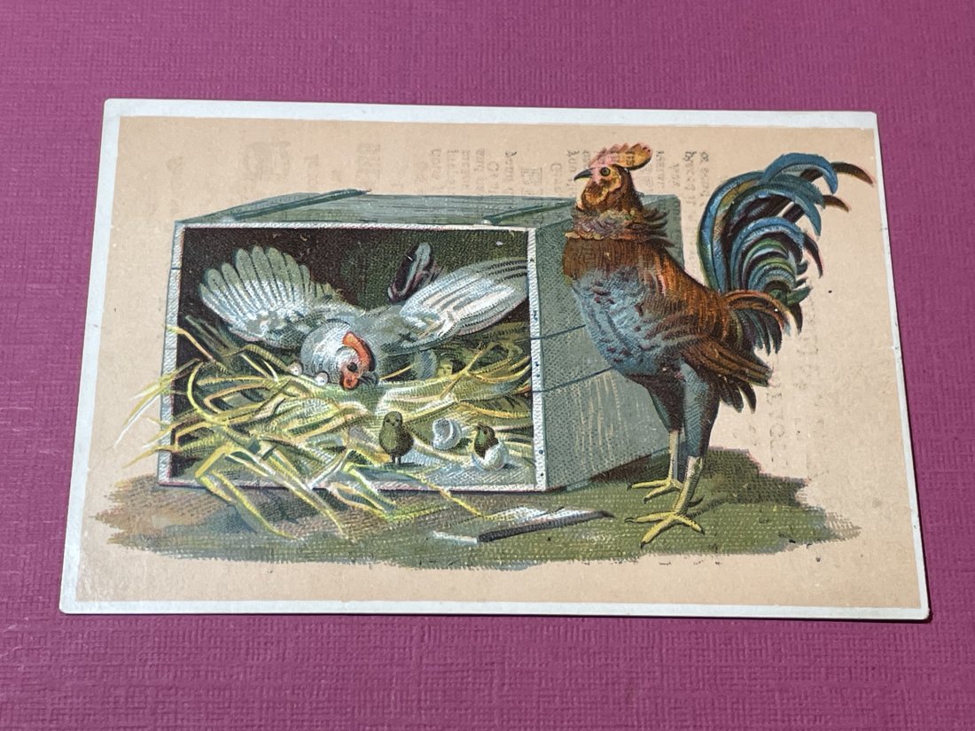 VICTORIAN TRADE CARD #377.: VICTORIAN TRADE CARD #377. (ONLY ONE SHIPPING FEE OF $5 ON TRADE CARDS, WHETHER YOU WIN 1 CARD OR 100 CARDS)