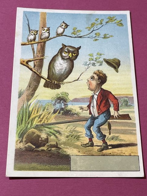 VICTORIAN TRADE CARD #482.: VICTORIAN TRADE CARD #482. (ONLY ONE SHIPPING FEE OF $5 ON TRADE CARDS, WHETHER YOU WIN 1 CARD OR 100 CARDS)
